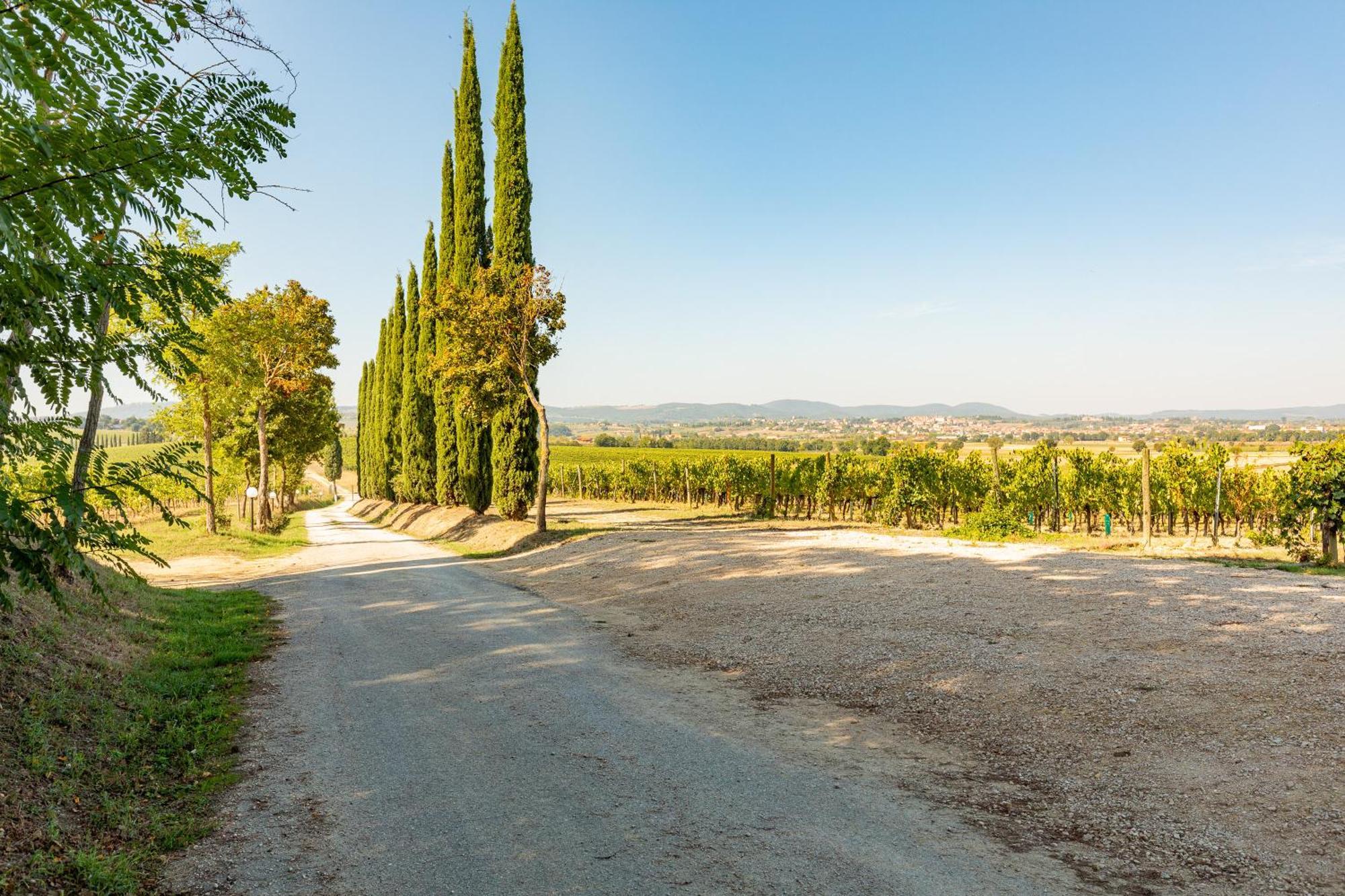 Prugnolo Villa Montepulciano Exterior photo